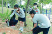 商务英语专业男生学怎么样，好就业吗？